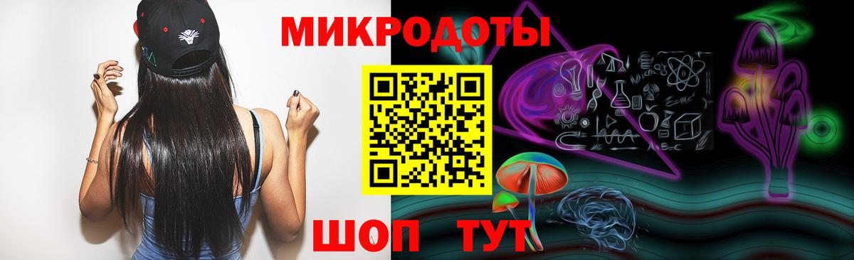 Галлюциногенные грибы Psilocybine cubensis Чистополь